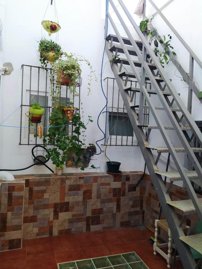Yedra Cadiz Apartment Bagian luar foto